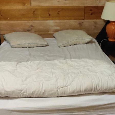 La Cabane Rustique Du Bassin Lejlighed La Teste-de-Buch Eksteriør billede